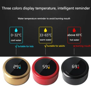 Temperature Water Bottle