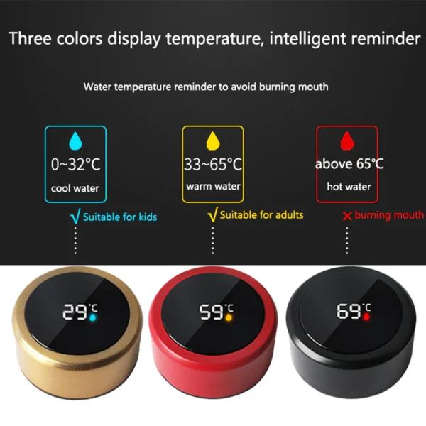 Temperature Water Bottle - Image 3